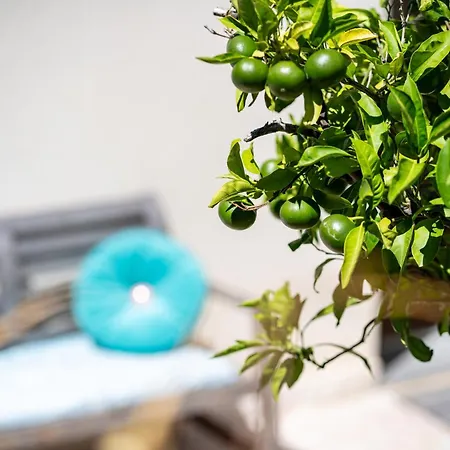 Alba With Garden شقة بيران