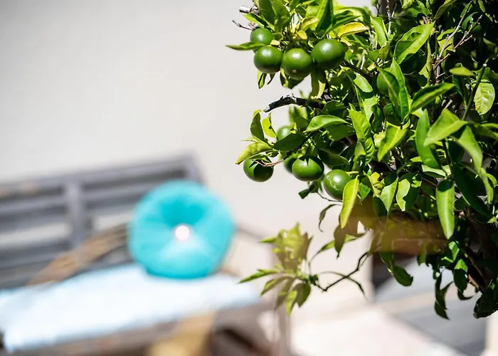 Alba With Garden Apartment Piran